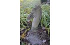 Property photo 7 - PERSONAL PROPERTY AUCTION IN ALLEN COUNTY, INDIANA